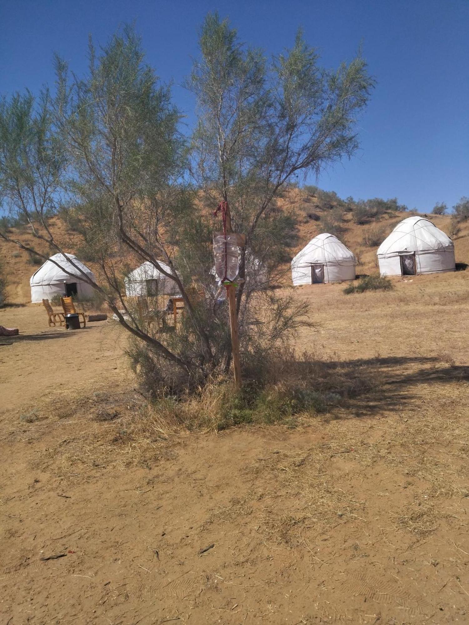 Hotel Authentic Uzbek Yurt Camp Eco-Friendly Nurota Esterno foto